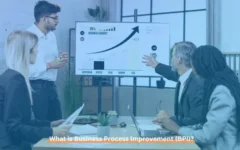 What is Business Process Improvement (BPI)?